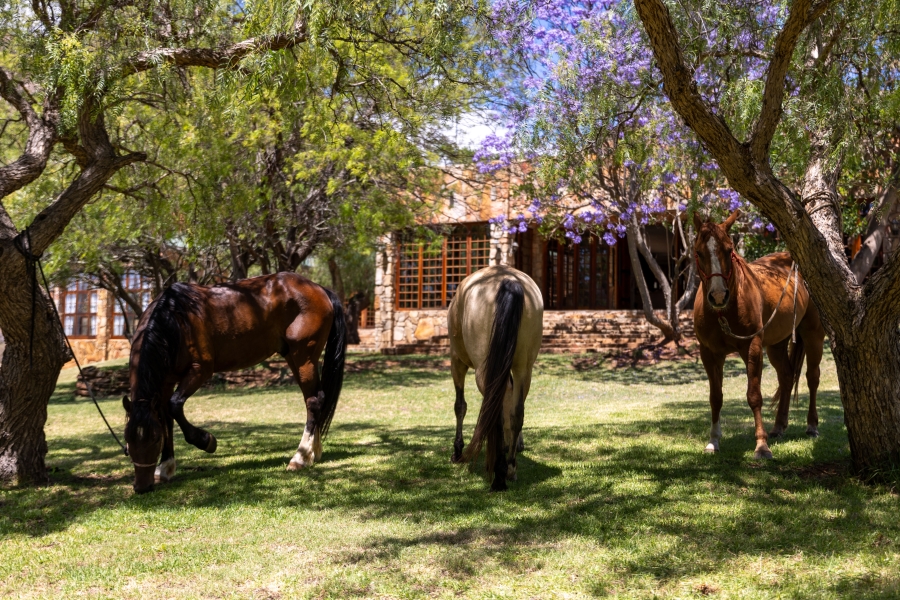 5 Bedroom Property for Sale in Uitenhage Rural Eastern Cape